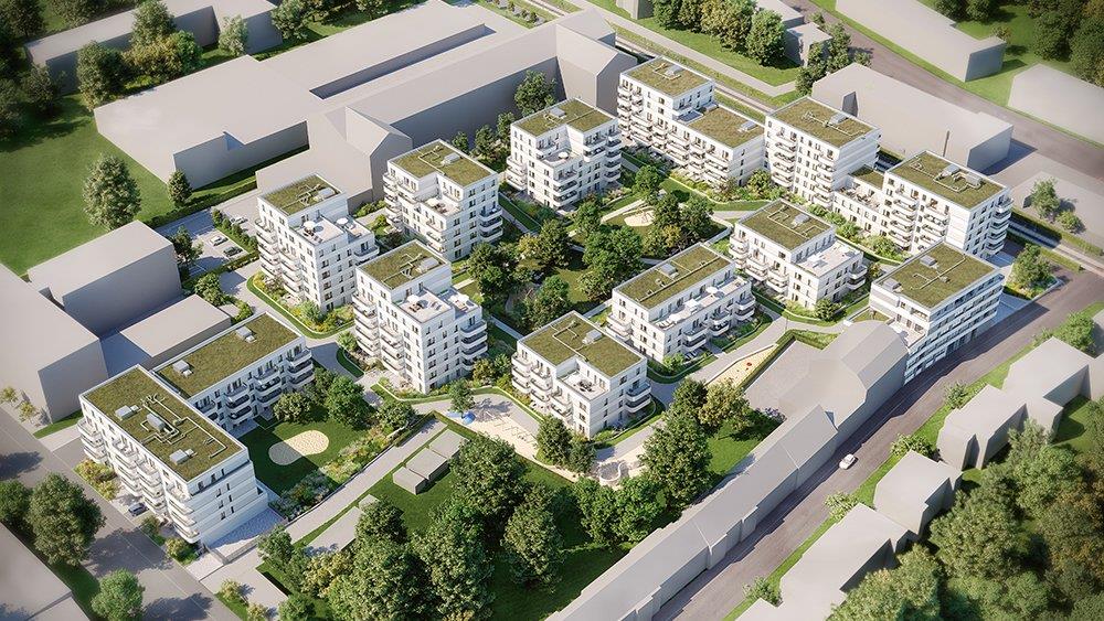Projekt Waldviertel, Köln