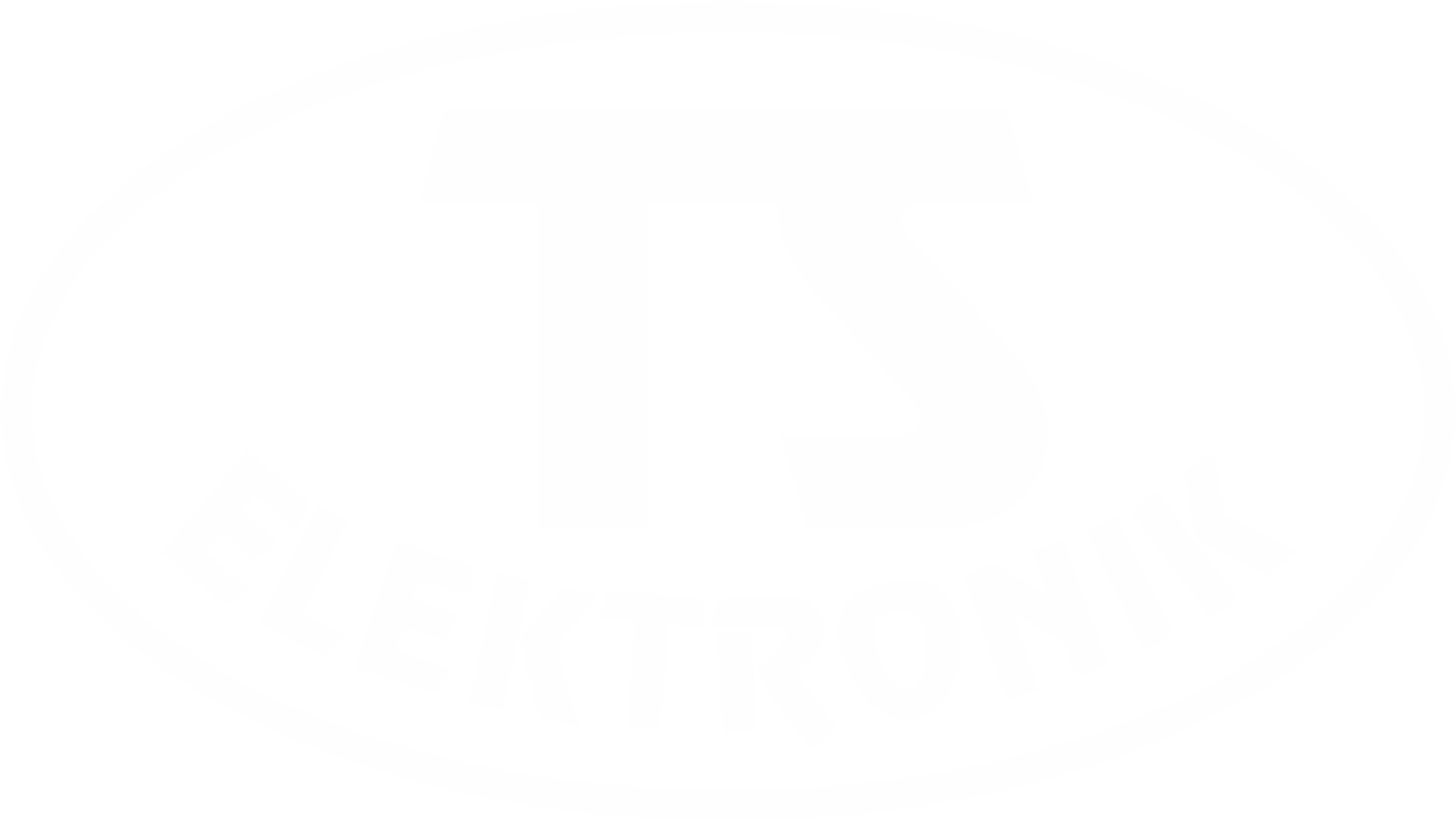 Logo TS-ELEKTRONIK GmbH