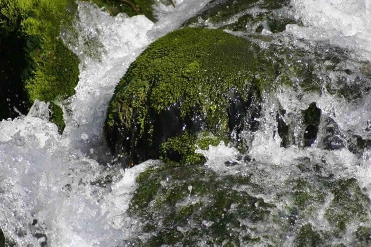 Wasseraufbereitung
