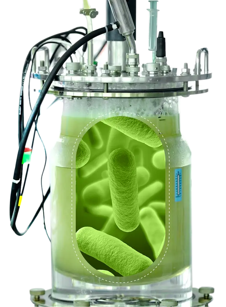 Produktkatalog / Biomethanisierung