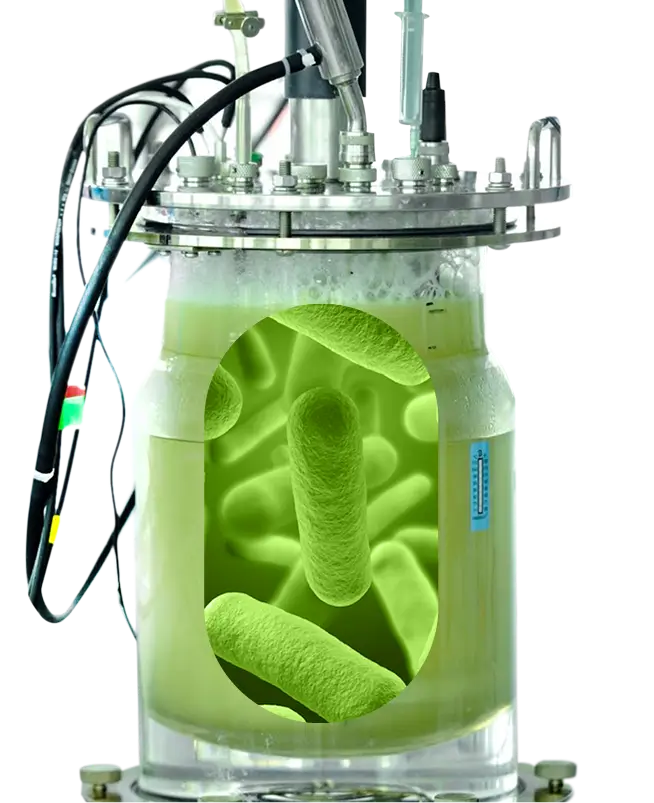Electrochaea – Fertigung