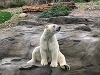 Großprojekt: Großpflanzung