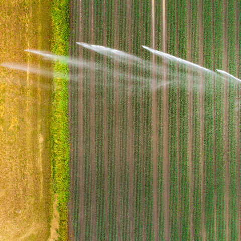Wasserverteilung und Bewässerung