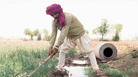 Fairtrade-Baumwolle