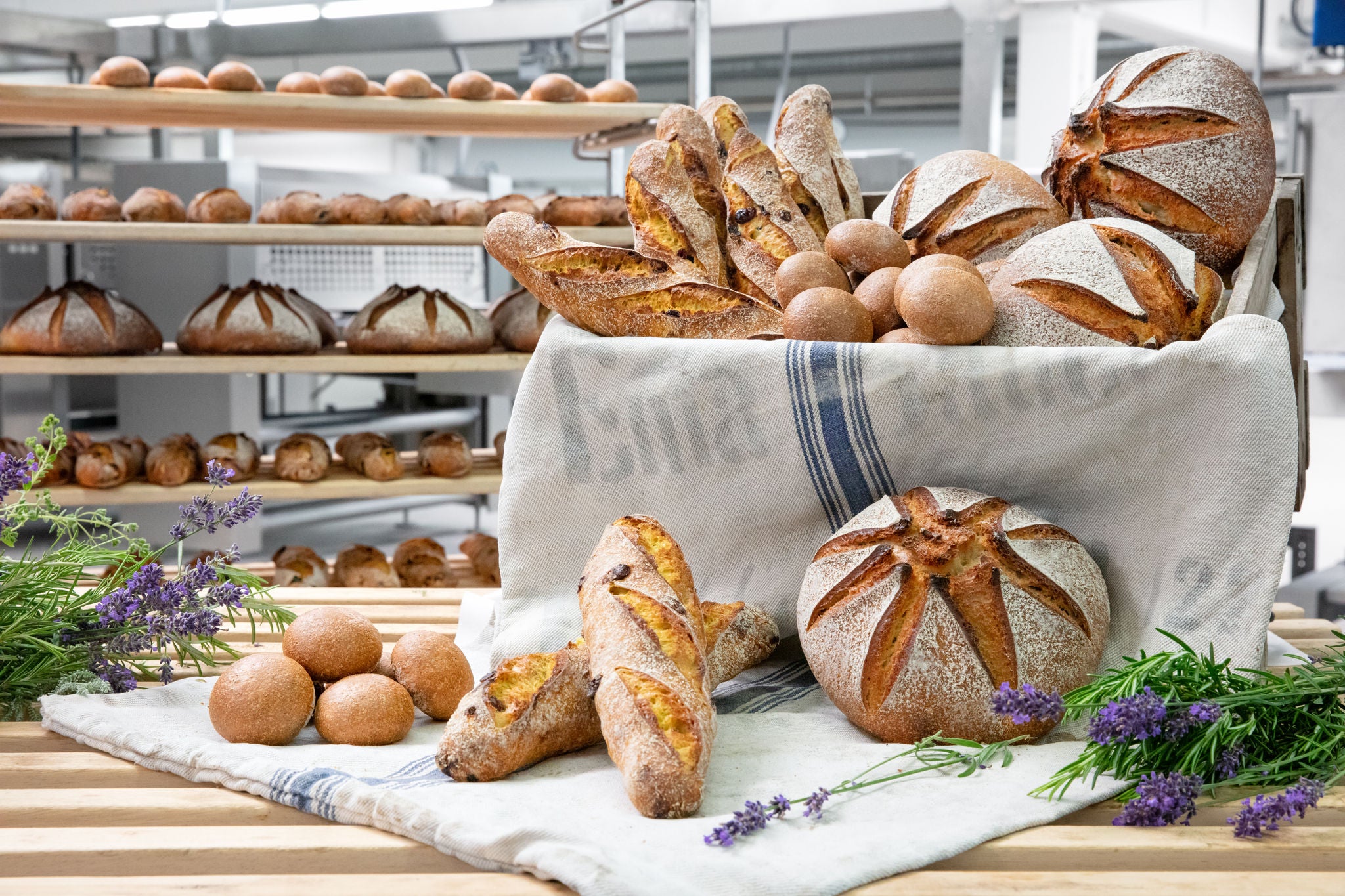 Bread and pastry variety from FRITSCH lines