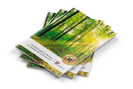 Produktkataloge & Downloads