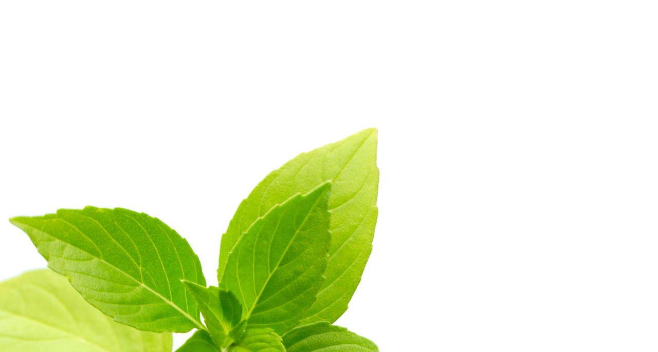 AgriCare Portfolio