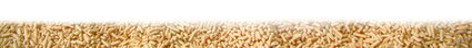 A+ Haustechnik Stauber Logo