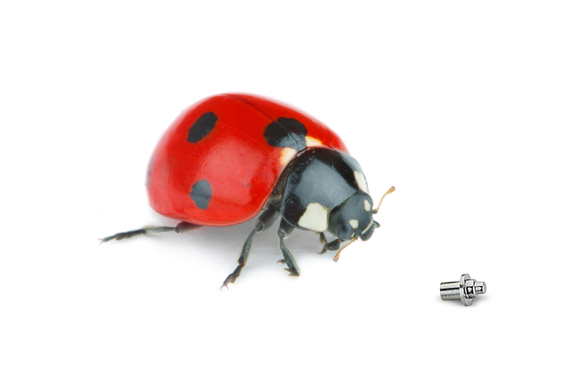 Micro-turned part in size comparison