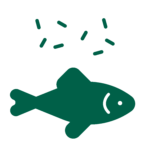 Proteine für Aquakulturen