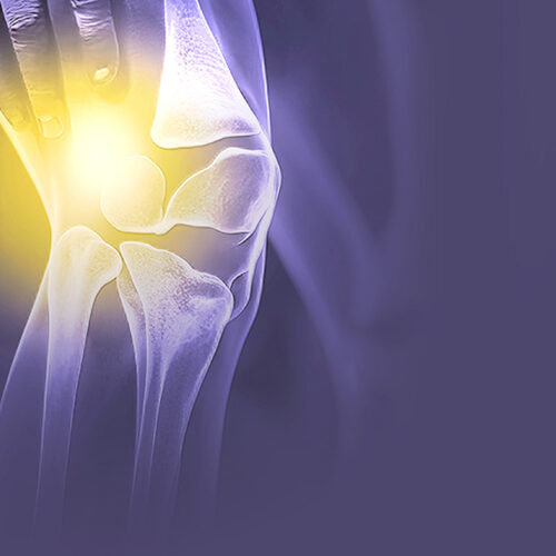 Regenerative Medizin
