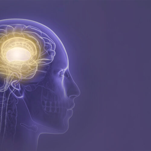 Neurologie