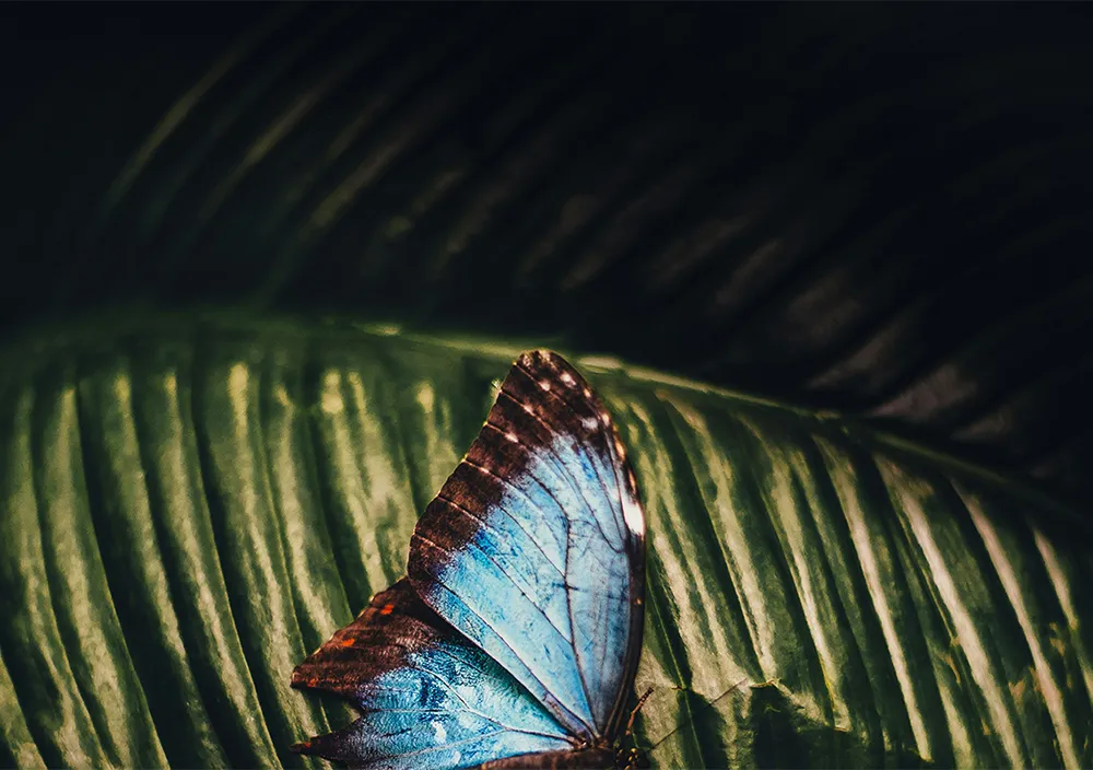 Insektenfreundliche LED-Leuchte (ULR = 0 %)