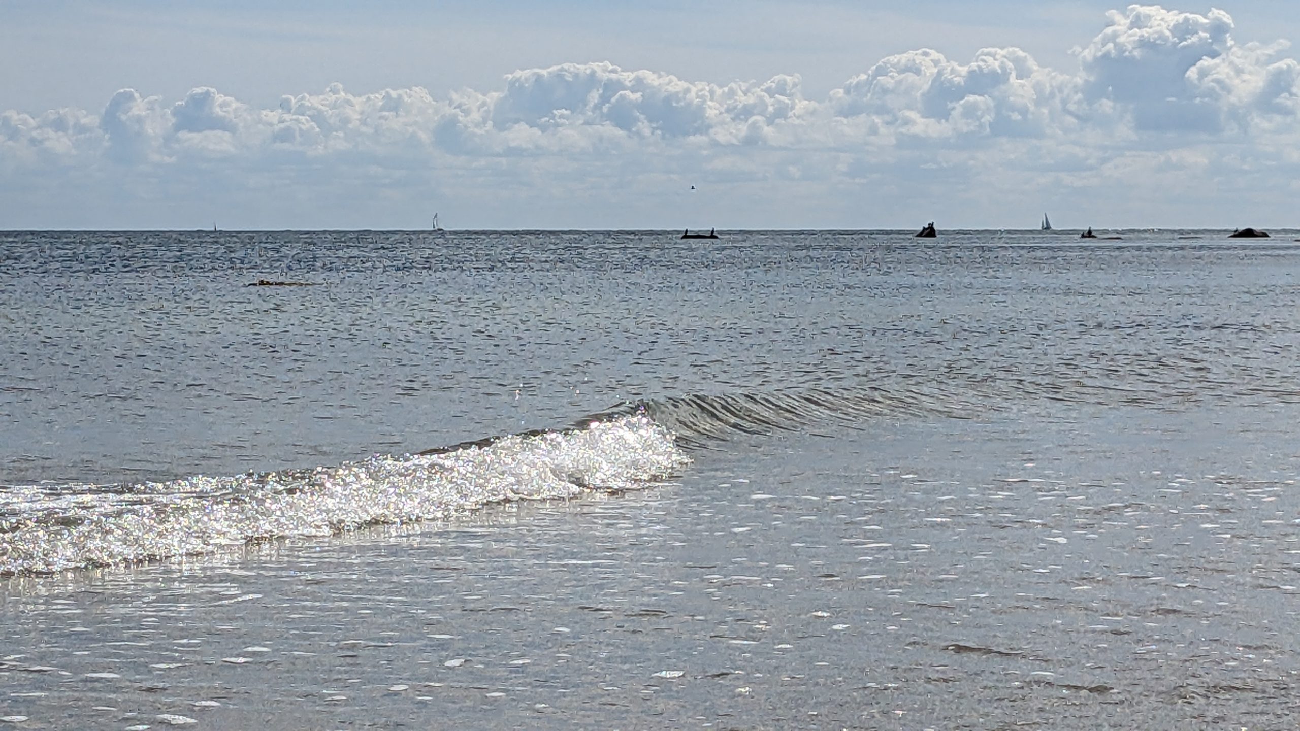 Inspektion eines Wasserfahrzeugs