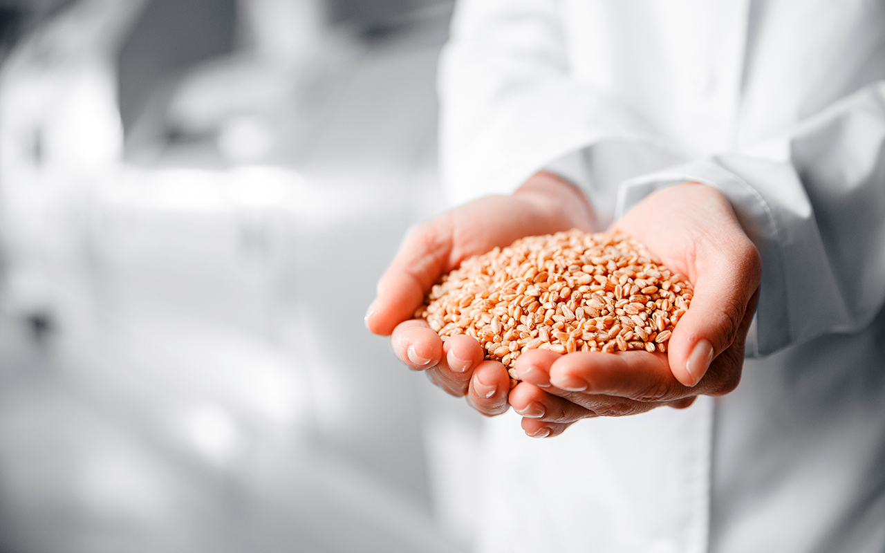 Raw material wheat from industry