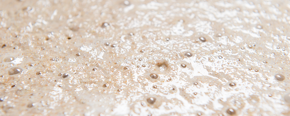 Vorteig- und Fermentertechnik (DIOStart)