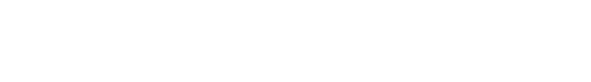 Firmengeschichte seit 1984