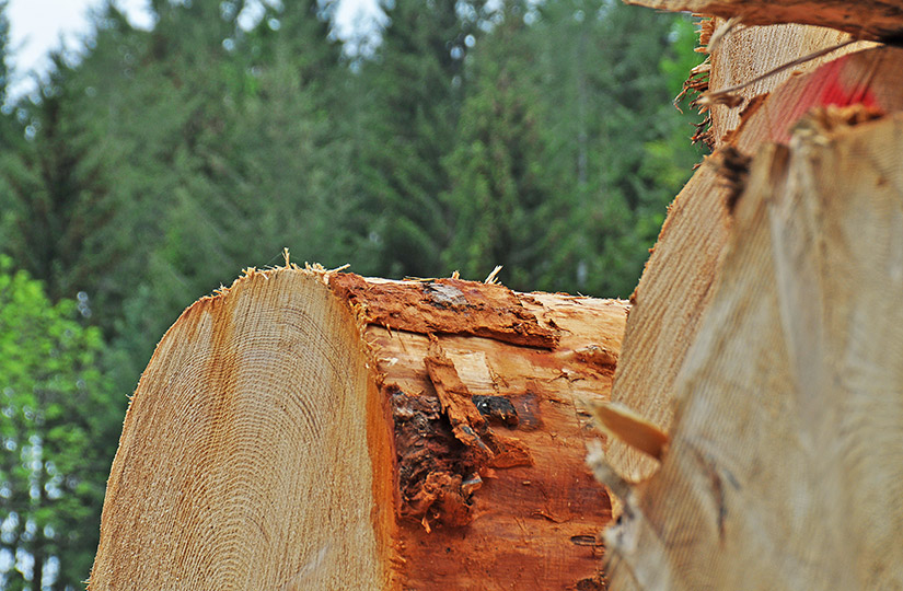 Log purchasing