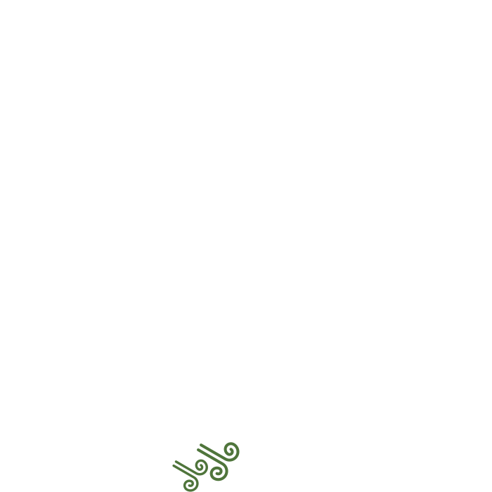 Hintergrundgrafik Bubbles