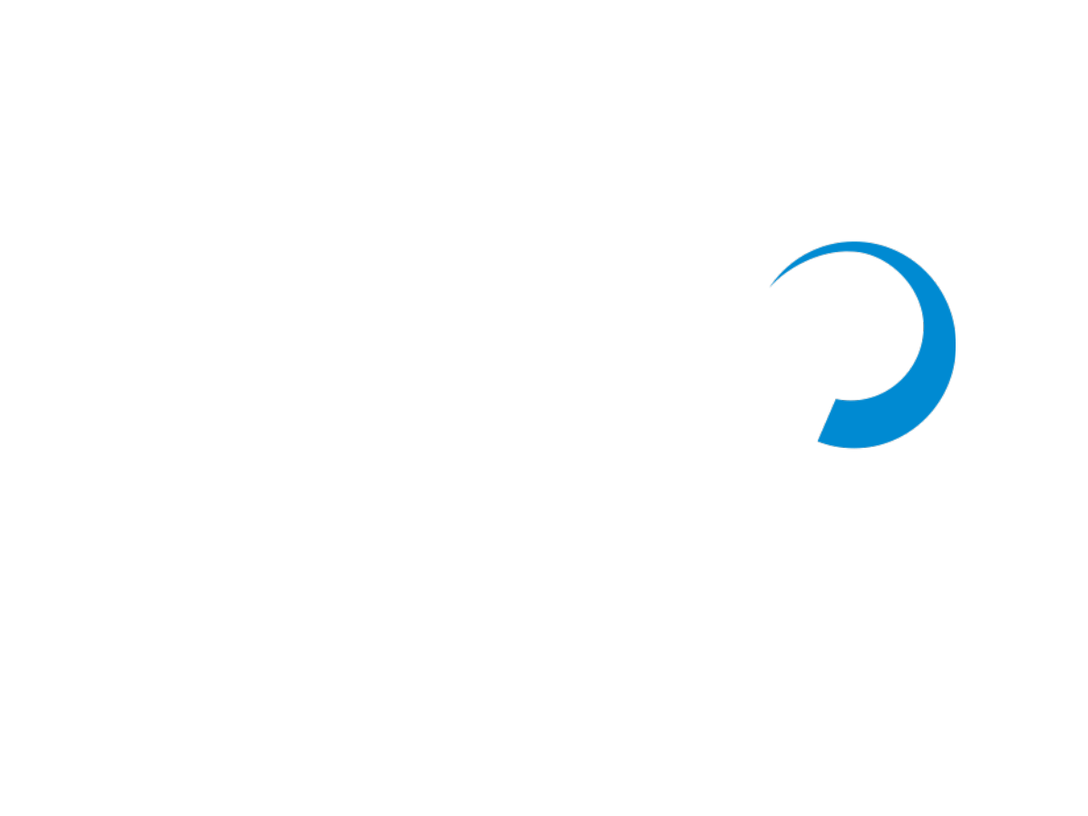 Logo Braunschweiger GmbH