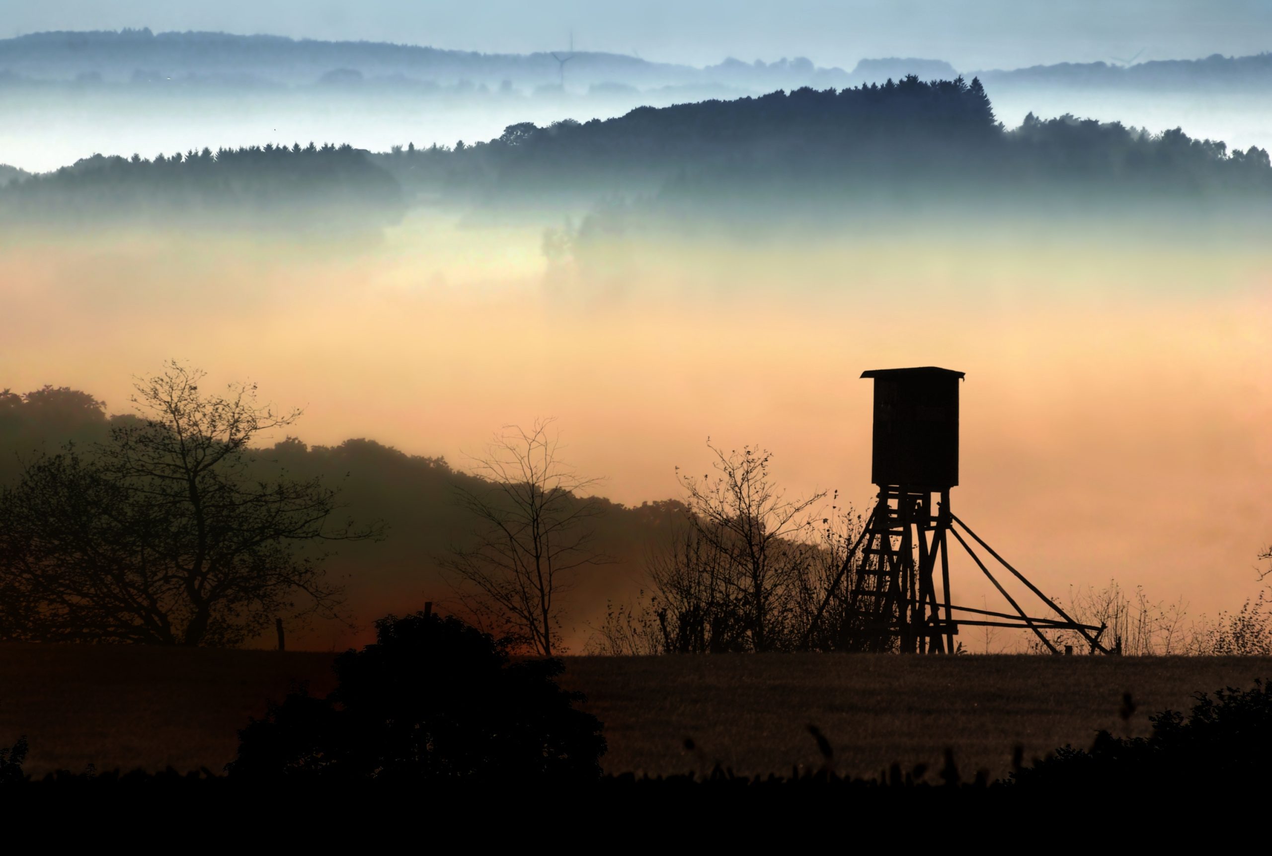 Hochsitz im Revier