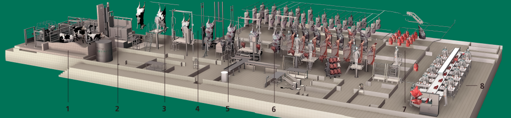 Cattle Slaughter Plant (Overall View)