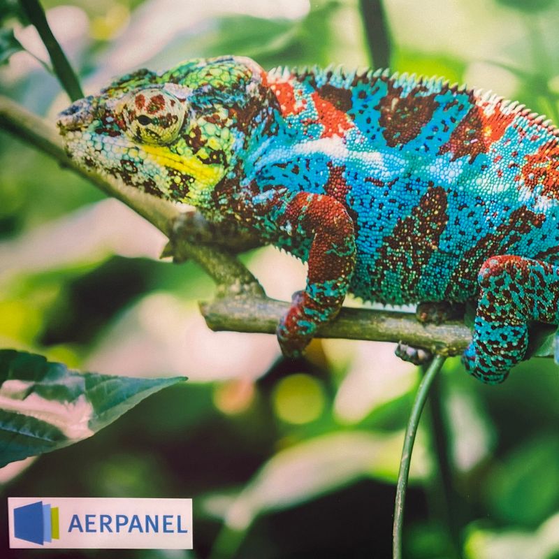 Produktionsimpression