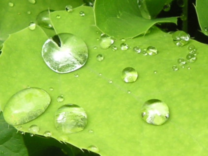 Philosophie: Natur als Inspiration