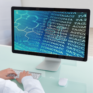 Datenanalyse-Software