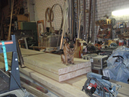 Gewerbehalle im Bau