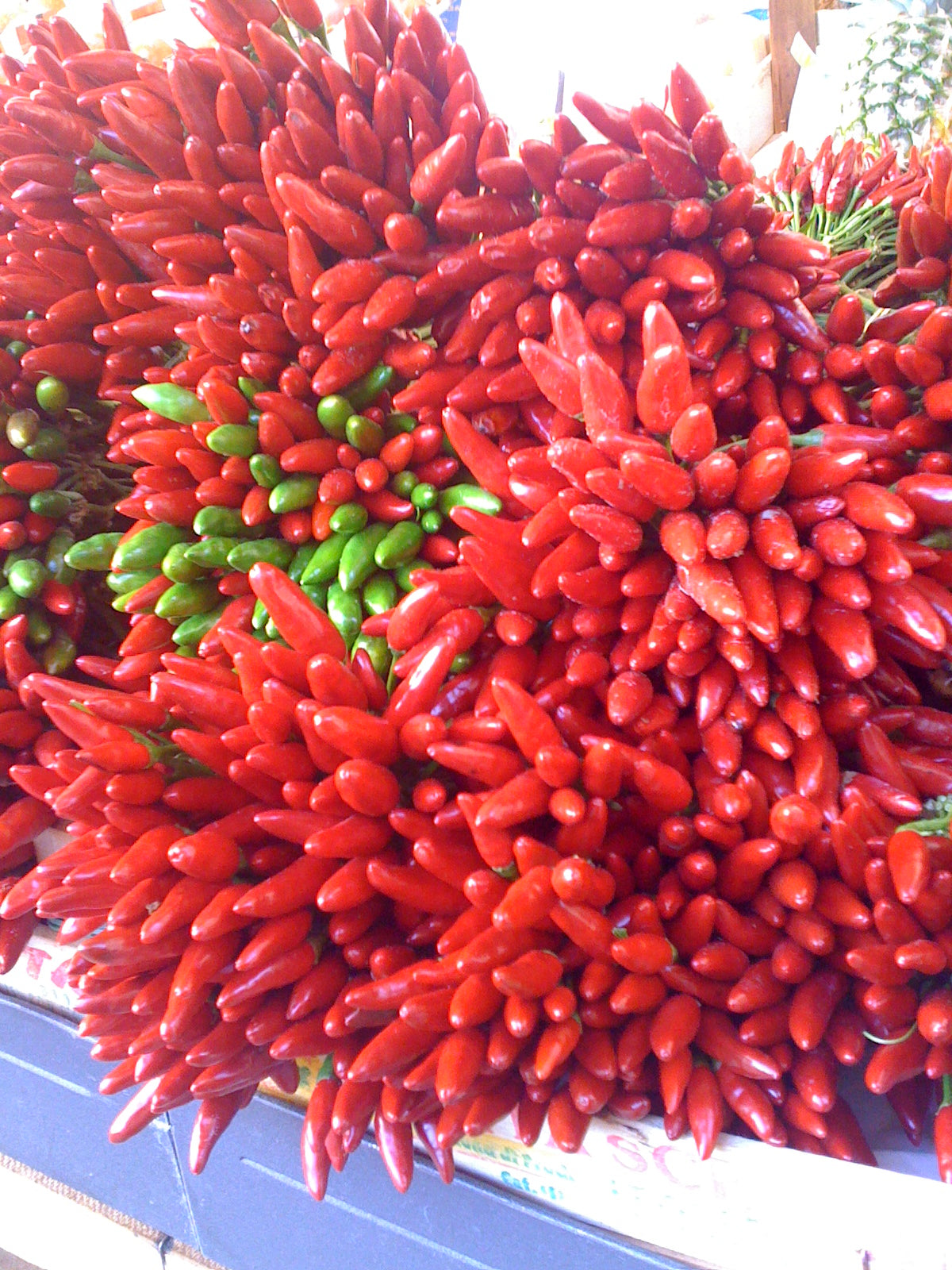 Chili Sauce / Barbecue Sauces