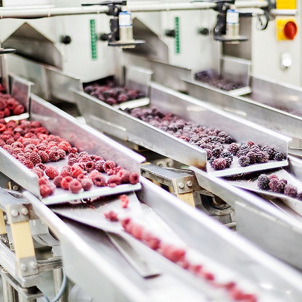 Tiefkühlproduktion