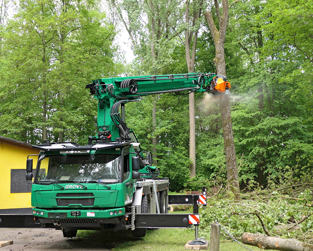Felling tongs for excavator mounting