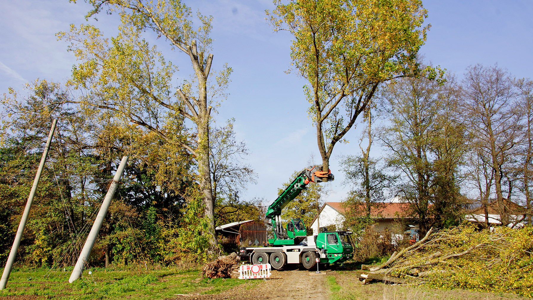 Fällbach felling crane