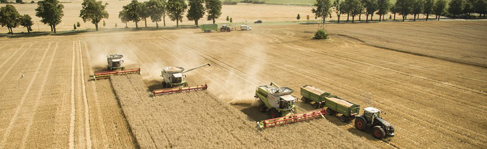 Landwirtschaftliche Produktion im Havelland