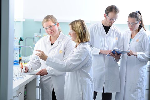 REACH-Registrierung