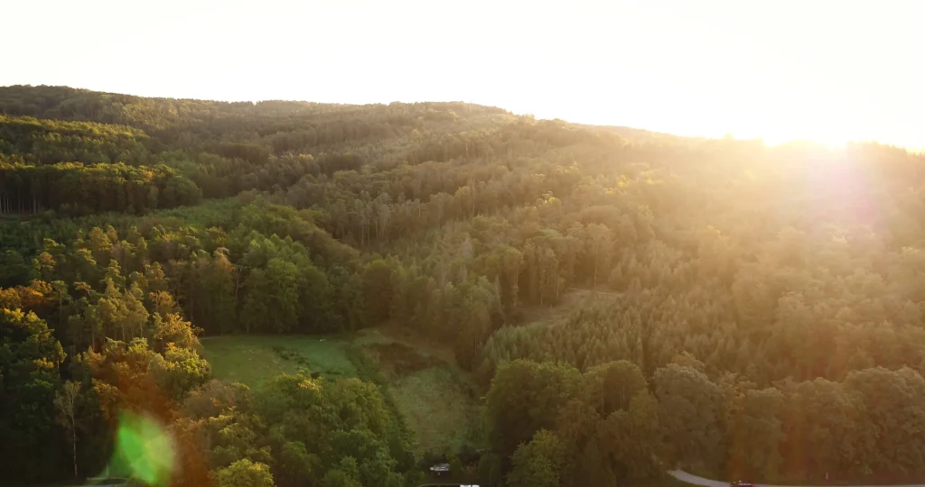 Holz Schäfer – Fertigung