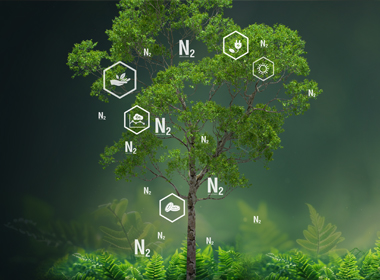 CO2-Einsparung durch eigene Stickstofferzeugung