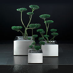 Abt Design Pflanzentrog Platuno
