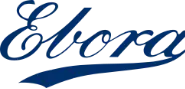 ACI Logo