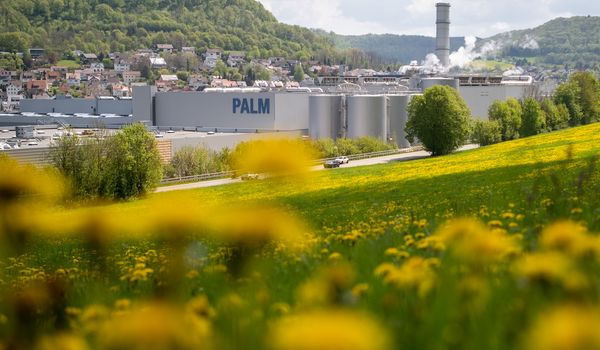 Ökologie bei PALM