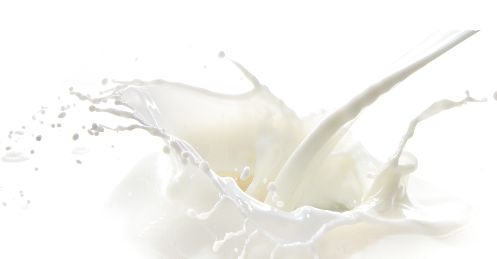 milchblick – Analyse der Fettsäuren in der Milch