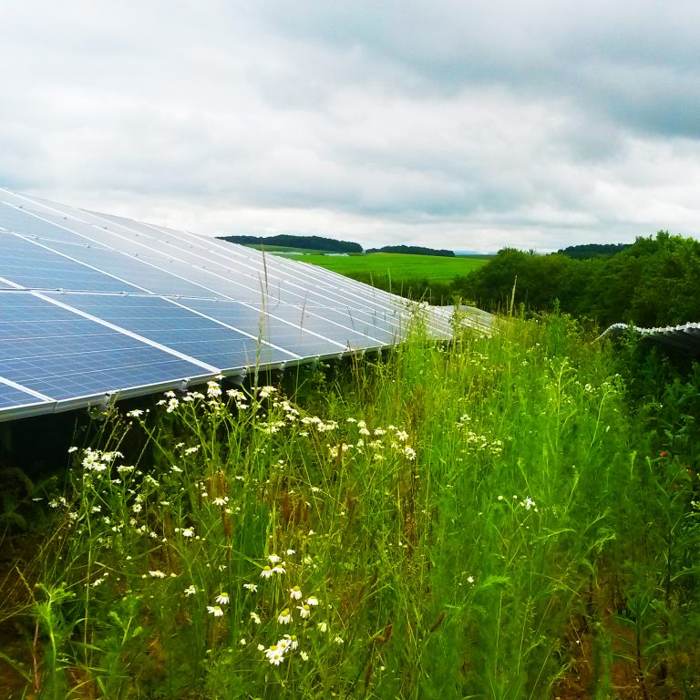 Kommunale PV-Dachanlagen Hambrücken (6 Anlagen, ca. 600 kWp)