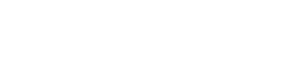 Braun Präzisionstechnik Logo