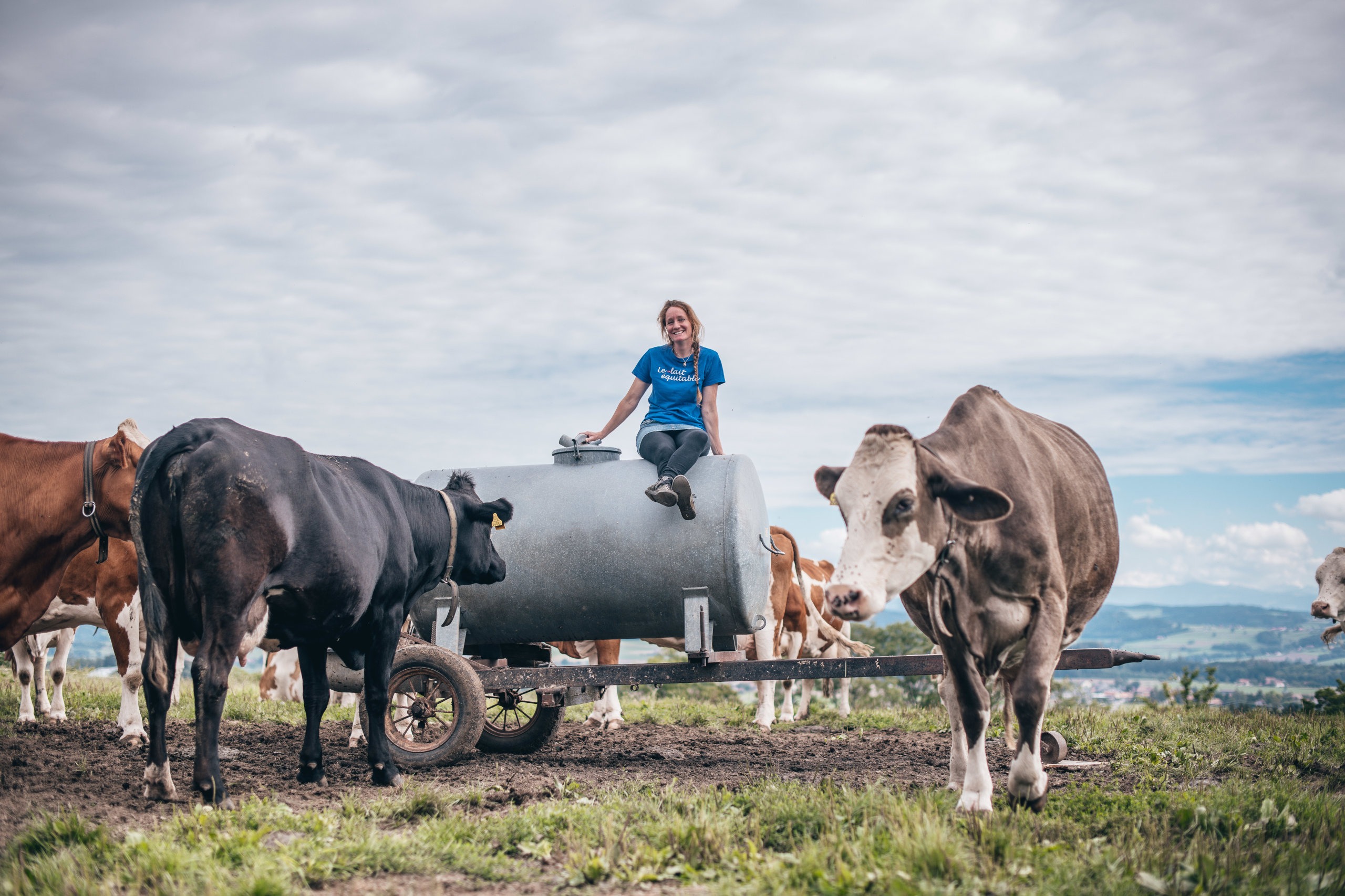 Die Faire Milch – Fertigung