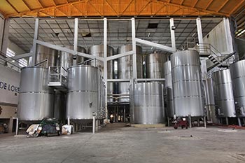 Steam boiler