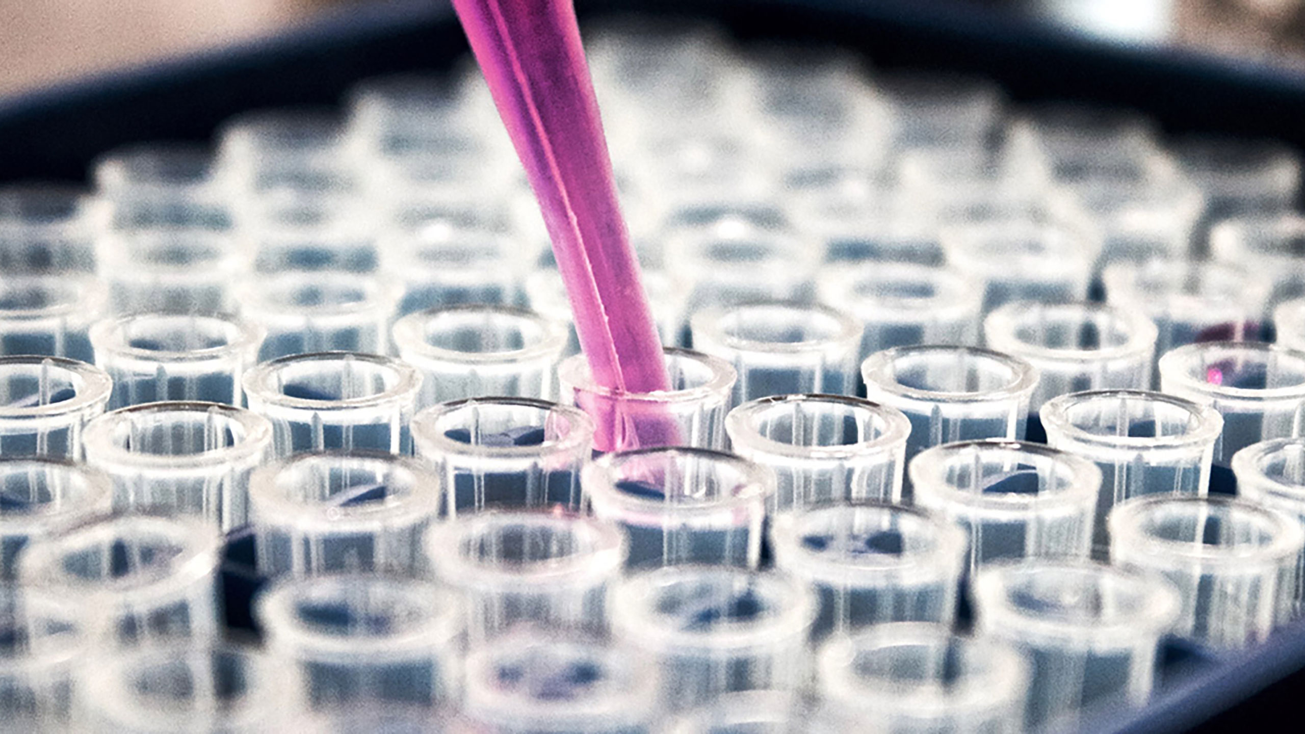 GSK GlaxoSmithKline Biologicals, Marburg – Reinraum-Elektrotechnik