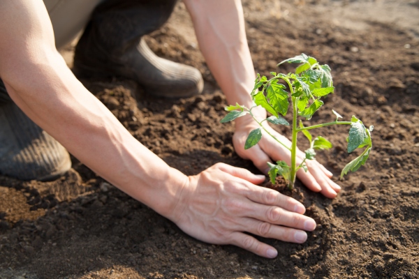 Sustainable raw material sourcing