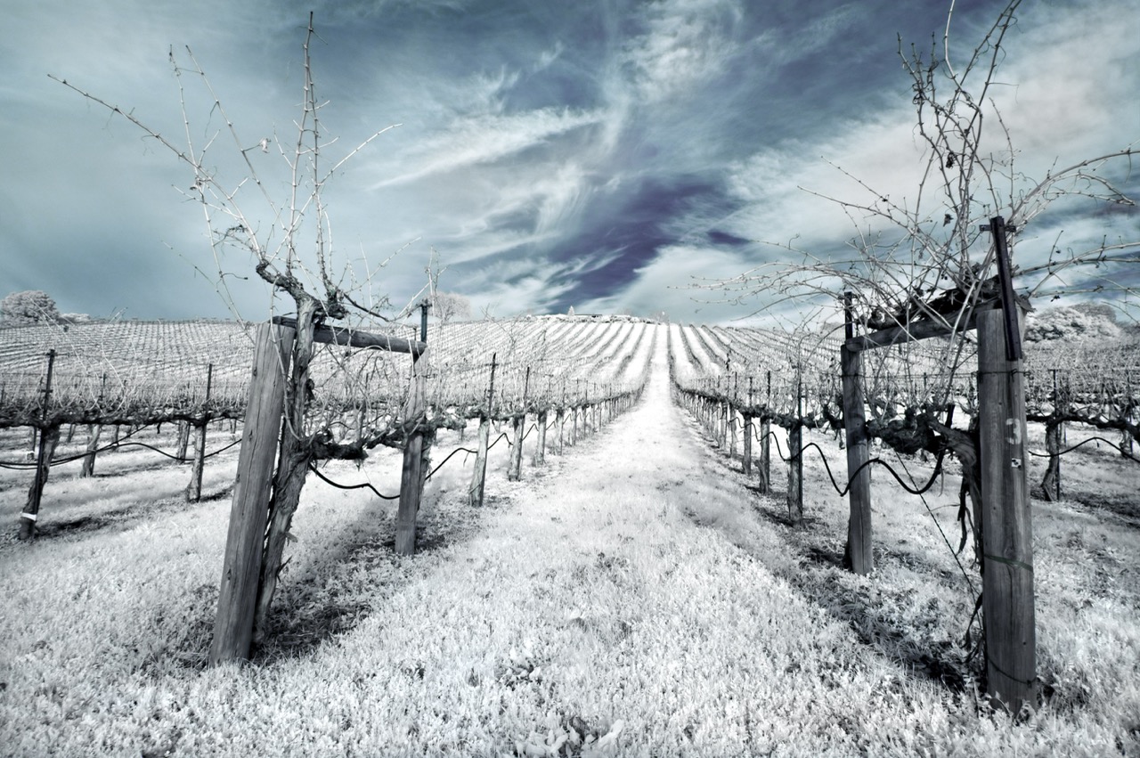 2B FermControl – Produkte für die Weinbereitung