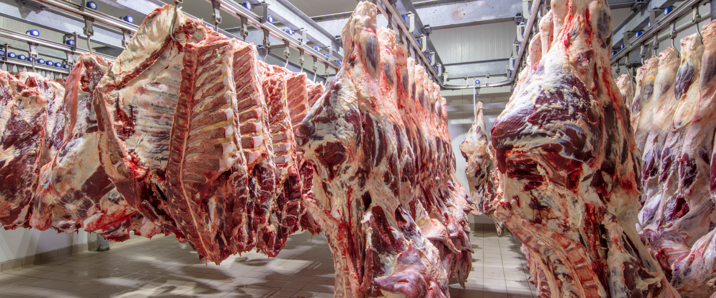 Meat 2000 – Fertigung